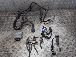 Kit GPL OEM 67R-014903 Stag-4 Eco Valtek Rail