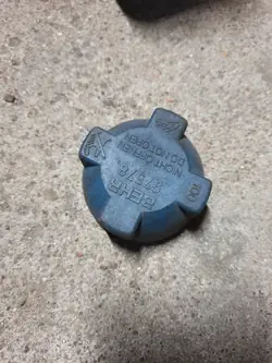 Válvula de depósito de refrigerante OEM 0005015715 Mercedes