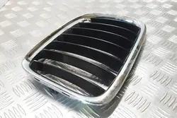 Griglia BMW X1 (E84) 2011