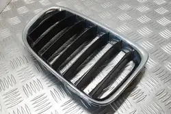 Grill BMW X1 (E84) 2011