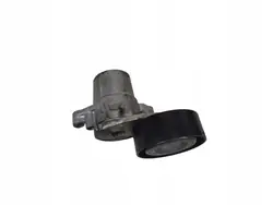 Tendeur de courroie d'alternateur Ford Focus 950652