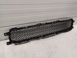 Zentraler Stoßfängergrill DODGE DURANGO 68320617AA