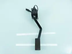 Potenciómetro gas OEM 0280755095 para CITROEN