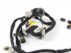 OEM 9807321480 Câblage Porte Avant Gauche Citroen C4 Picasso