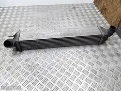 Renault Laguna Kylare 2010 2000 Bensin OEM 144960001r