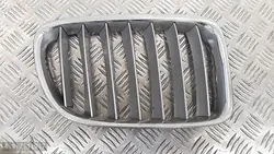 Griglia BMW X1 E84 2013 51112993306