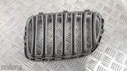 BMW X1 E84 Kühlergrill 2013 51112993306