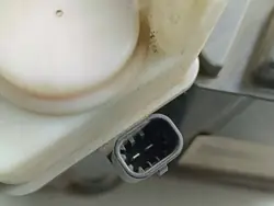 Filtro de vapor de combustible OEM FOB56560