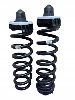 Mola suspensão traseira OEM BMW 4 G22 X-Drive