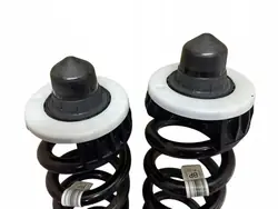 Mola suspensão traseira OEM BMW 4 G22 X-Drive