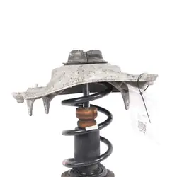 Audi A5 8F Kaasujousitus Etu Vasen OEM 8F0413031B