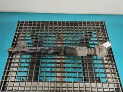 Ammortizzatore Posteriore Sinistro Audi A5 8T Attivo 07-11