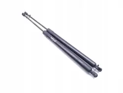 Amortecedor de porta-malas Ford Tourneo Custom OEM BK21-V406A10-DA