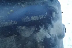 Passaruota anteriore destro VW GOLF V VARIANT 1K5805978