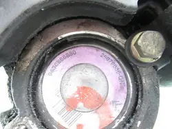 Bomba de dirección asistida Citroen Xsara Picasso