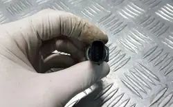 Toyota OE Oliedruksensor - Voorzijde