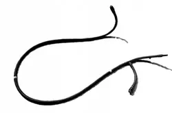 Kit Manguera Lavafaros BMW OEM 7178742