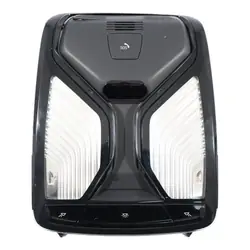 Luz de Teto Dianteira BMW OEM 5A25159 - Usado