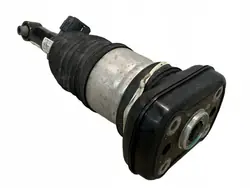 Ressort pneumatique arrière droit OEM 6869040 BMW X7 G07