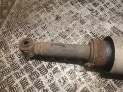 Amortisseur pneumatique Land Rover OEM 22231454 Avant