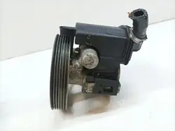 Pompe de direction OEM 26079884 pour Peugeot 206