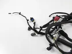 OEM 9811553080 Câblage Hayon Citroen C4 Picasso