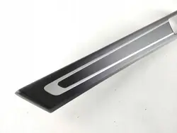 Porsche Panamera Garniture Portière Arrière OEM 8091938