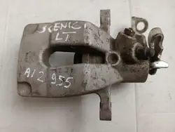 ABE CZH1302 Jarrusatula