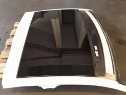 Audi Panoramadak OEM Lochow-318250- voor A6 C8