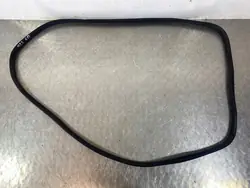 Guarnizione porta posteriore KIA Sorento IV 2022 FOB52317