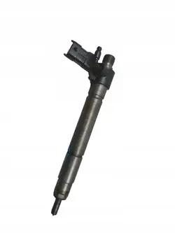 Injecteur Peugeot 508 I Citroen C5 III Mondeo MK4 2.2 HDI TDCI