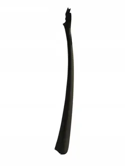 Joint pare-brise avant droit OEM NOB17808 Toyota