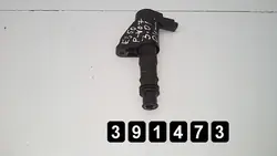 Tändspole Peugeot 407 2006 9663278480