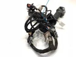 Front Right Door Wiring FORD ECOSPORT GN15-14630-AND OEM
