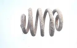 Ressort arrière OEM ARA173767 pour VW Transporter T4