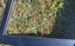 Joint de fenêtre avant droite OEM 11qq11uu6hhhvhivu Toyota RAV4