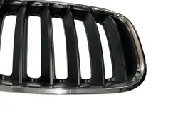 Griglia anteriore BMW X5 E53 OE 51137113734