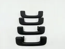 Takhållare Set Ford Bronco 2021 OEM LC5BA045B14