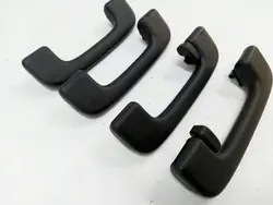 Set de Poignées de Toit Ford Bronco 2021 OEM LC5BA045B14
