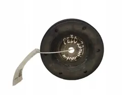 Pulley de vilebrequin Peugeot 407