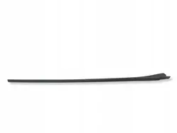 Cupra Born 2023 Windschutzscheibe Dichtung OEM 10E854328B
