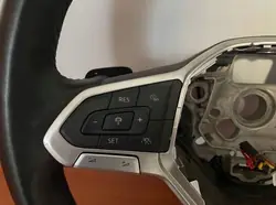 Volante Multifunción OEM 5H0419089GA - Usado