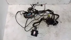 Kit GLP Stag 200 Gofast OEM INSTALACJA LPG SEKWENCJA 4 CYL.