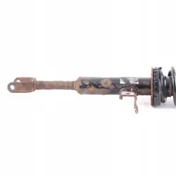 Amortisseur Avant Gauche BMW F10 OEM 6789363