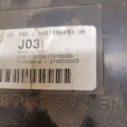 Módulo Confort OEM 00060170180203 para Peugeot 308