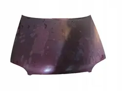 Motorhuv Ford Escort FA 1995-2001 OEM 1034481