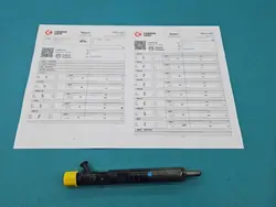 Injecteur Delphi testé EJBR05102D pour Renault Kangoo I