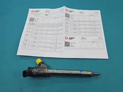 OEM 0445110955 Inspuitstuk voor Peugeot 508 II 1.5 HDI