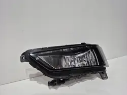 Halogeen Links Skoda Fabia IV 6VA941699