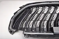 MG HS Kühlergrill OEM 10821130 - Gebraucht